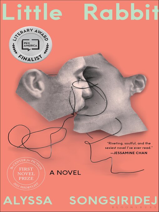 Cover image for Little Rabbit